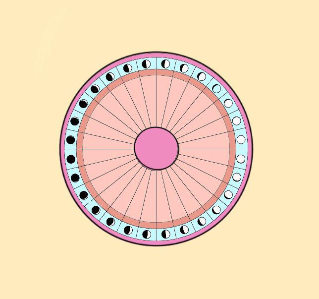 Yes Gurl illustration of a chart for menstrual cycle awareness